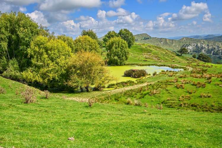 1678 Tiniroto Road Waerenga-O-Kuri_24