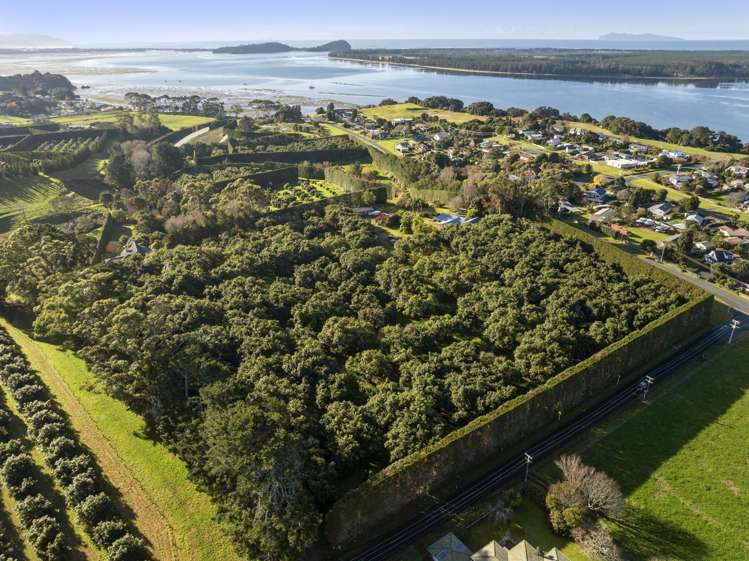 521 Kauri Point Road Katikati_0