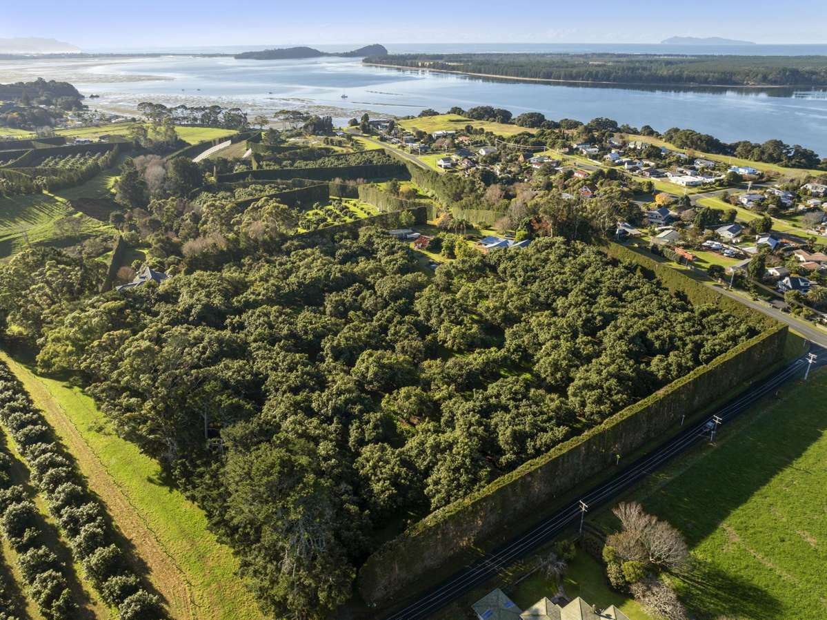 521 Kauri Point Road_0