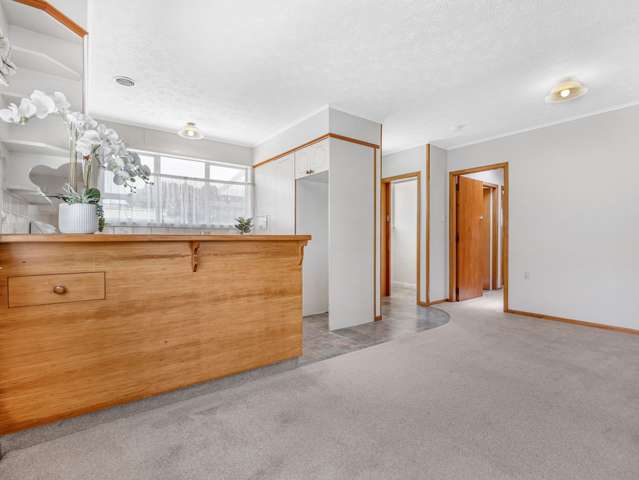 142 College Road Edgecumbe_4