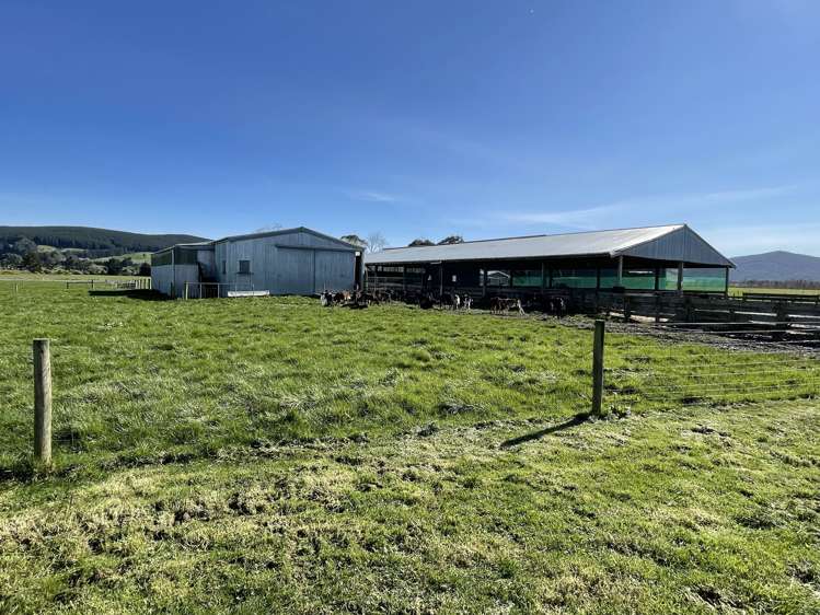 232 Lower Scotts Gap Road Otautau_9