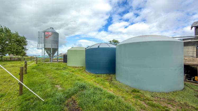 264 Matatoki Road Matatoki_27