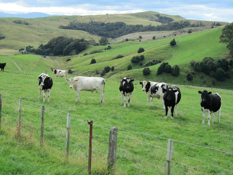 348 Happy Valley Road Tuatapere_16