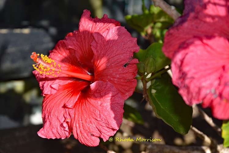 1 Sandy Beach Road Tinopai_32