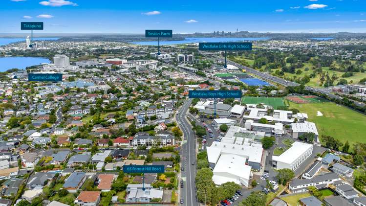 65 Forrest Hill Road Milford_21