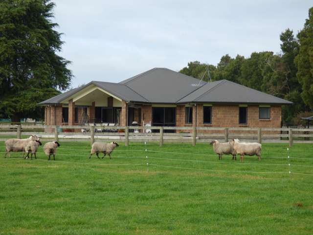 621d Marychurch Road Matangi_2