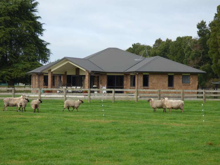 621d Marychurch Road Matangi_2