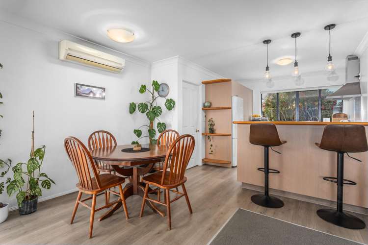 61A Domain Road Whakatane_5