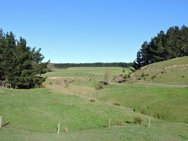 254 Wilder Road Porangahau_3