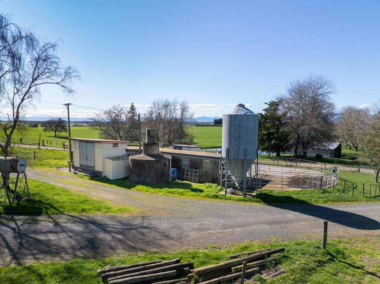 97 Herbert Road Morrinsville_2