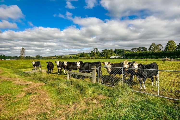 106 Searles Road Sheffield_10