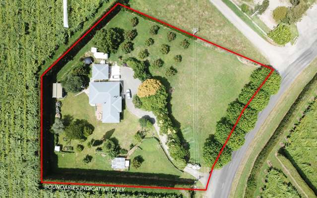 651 Rangiuru Road Te Puke_4