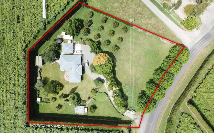 651 Rangiuru Road Te Puke_4