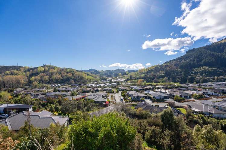 Ayrburn Lane Subdivision Stoke_5