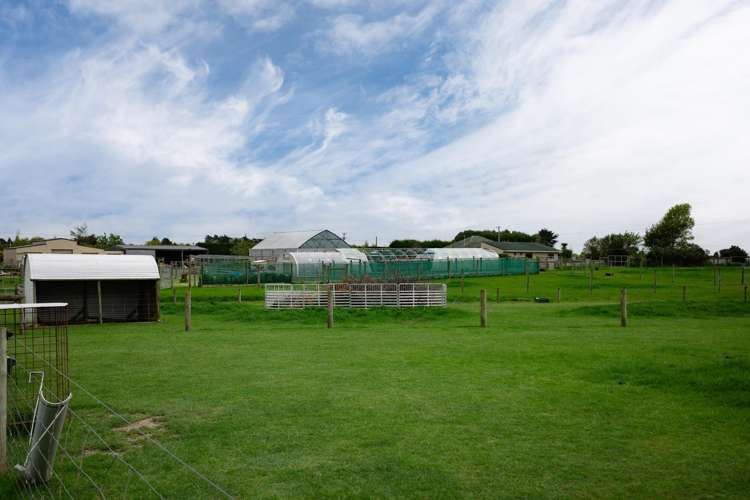 78 East Road Ascot_34