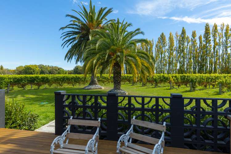 Alabama Road Riverlands_20