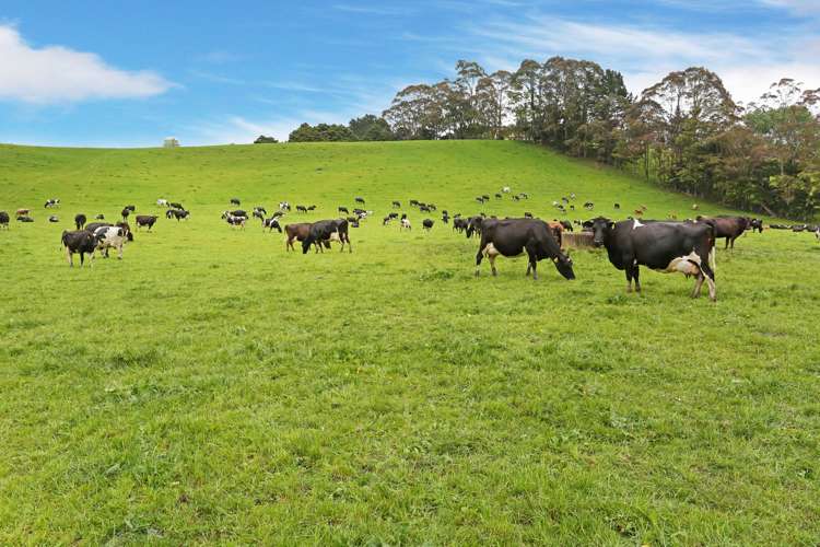 187 Goodwin Road Aka Aka_2