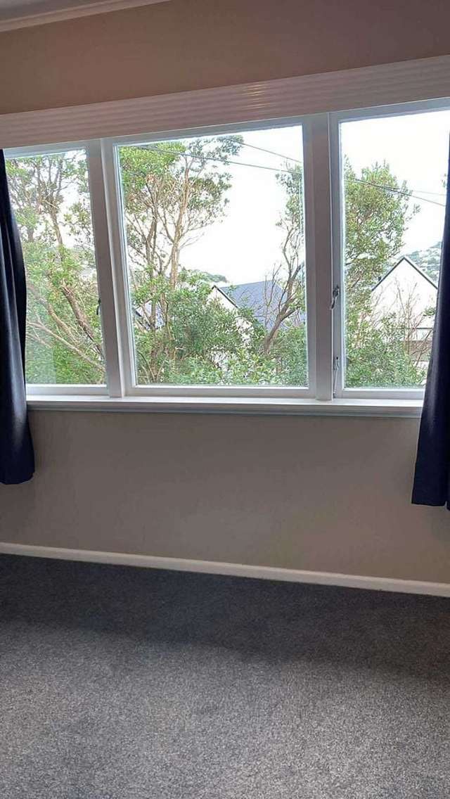 1 Mace Street Island Bay_2