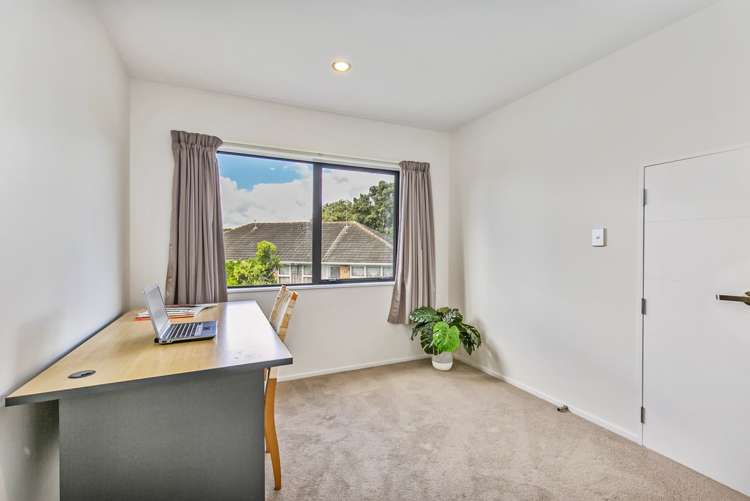 37b Canal Road Avondale_15