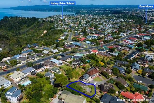 Large Freehold Section in Mount Roskill