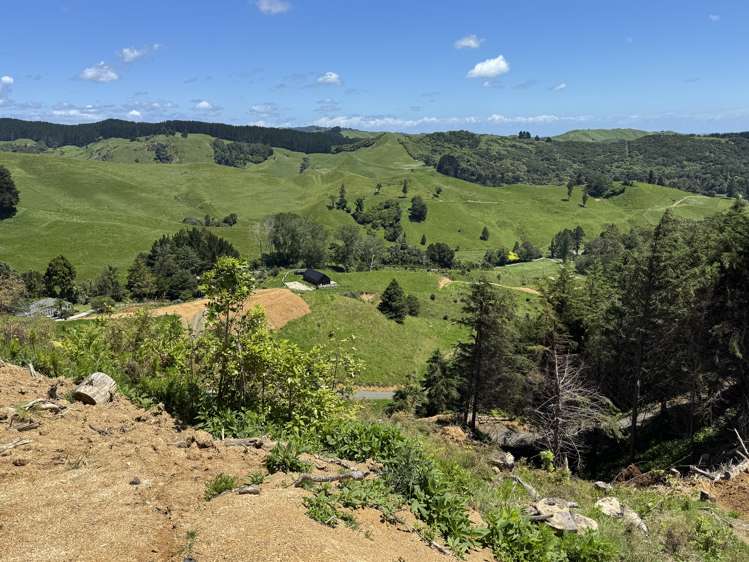 Lot 3 Brown Road Kawhia_16