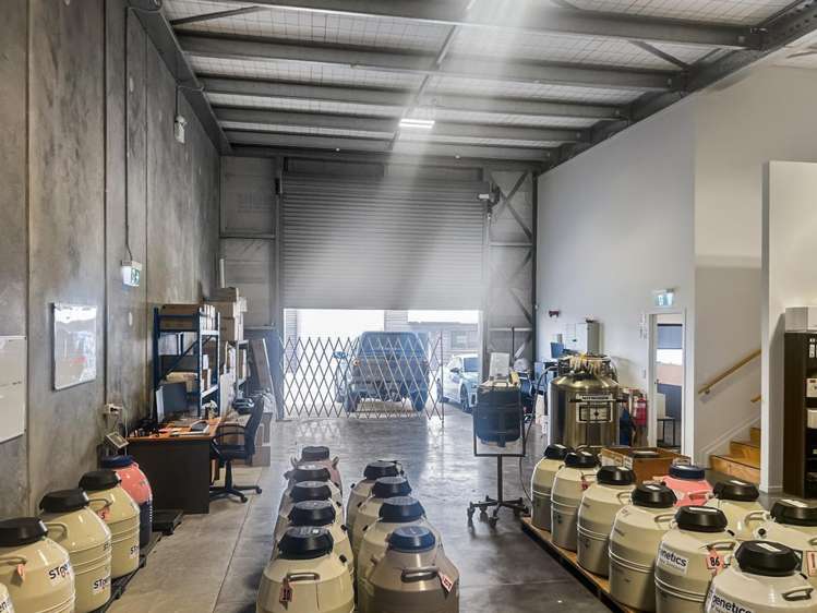 3/123 Ingram Road Rukuhia_4