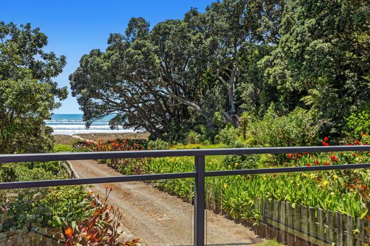 233 Ohiwa Beach Road Opotiki and Surrounds_10