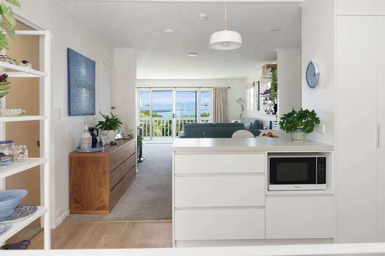 75 Chamberlain Street Tahunanui_10