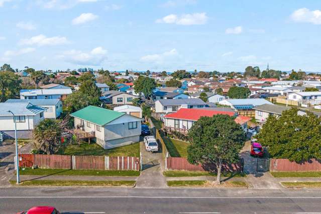 174 Finlayson Avenue Clendon Park_2