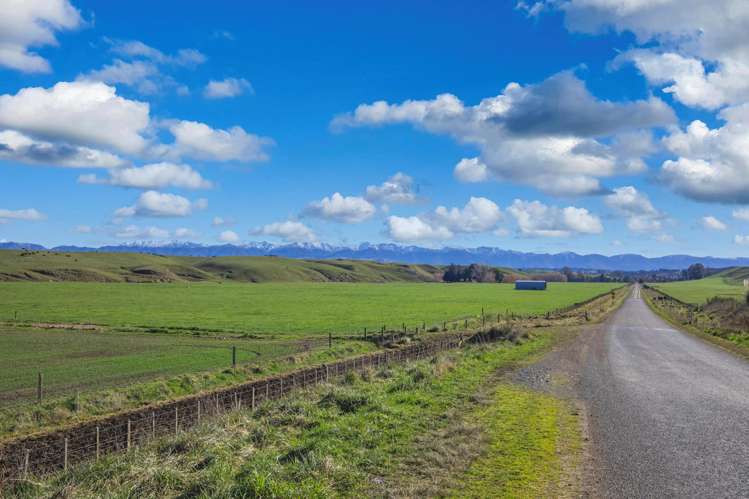 Ngaruru Road Ongaonga_5