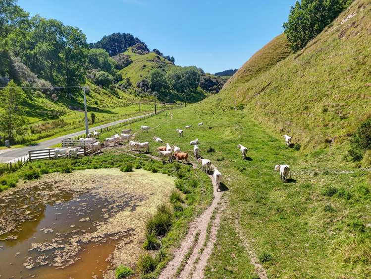 52 Longacre Road Okoia_6