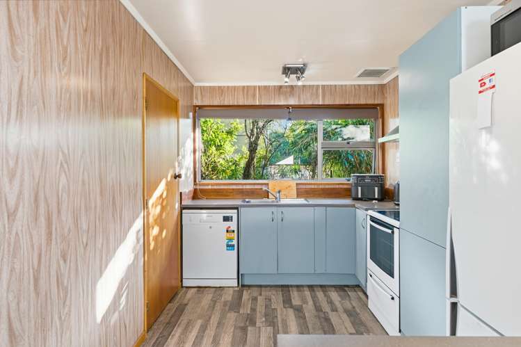 3 Henry Street Maori Hill_11