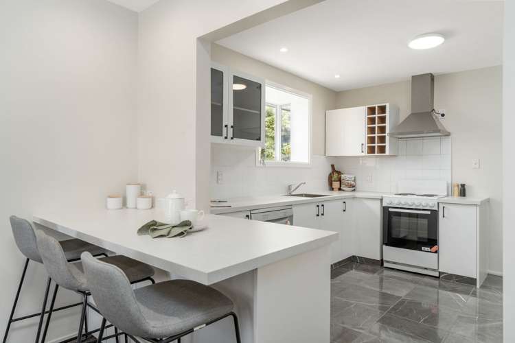 49 Greenhaven Drive Burwood_5