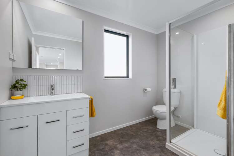 23 Maire Street Levin_7
