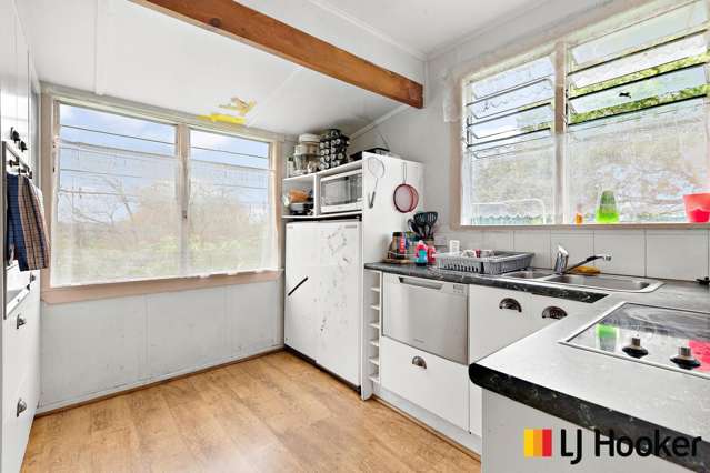 263 Tuakau Road Pukekohe_3