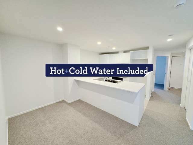 Be First to Live Here! Freshly Renovated 3 Bedroom Apartment