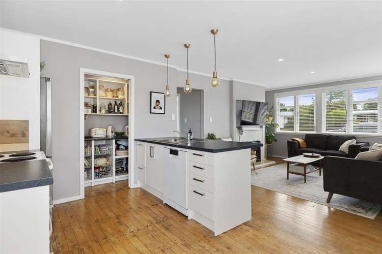 66 North Street Morrinsville_7