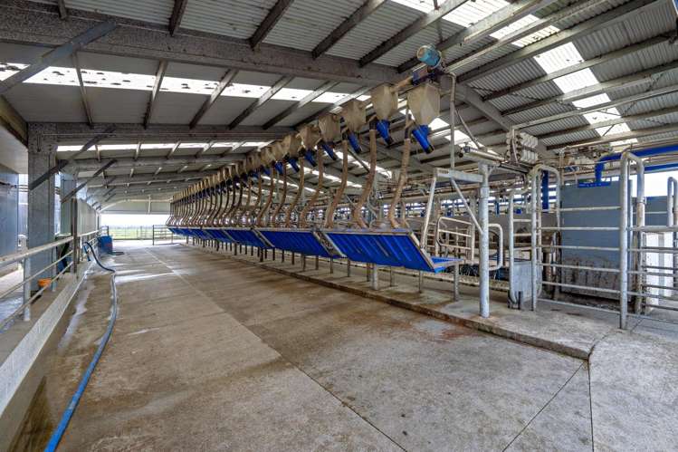 Queens Farm, 16 McGinley Road Opotiki_6