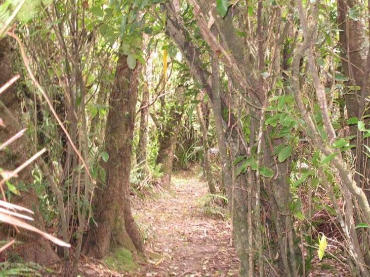 27 Cooper Road Gladstone_32