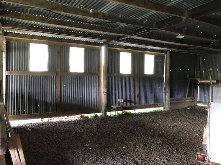 Ovens Road Matakohe_22