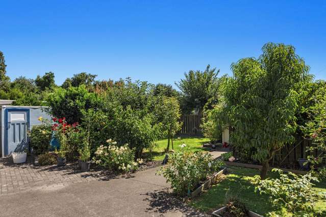 14 Hydro Road Edgecumbe_3