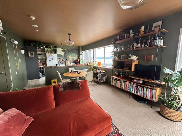 4A/1 Grant Road Thorndon_1