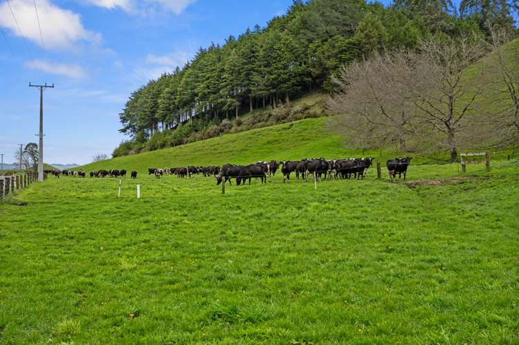 385 Whirinaki Valley Road Ngakuru_21