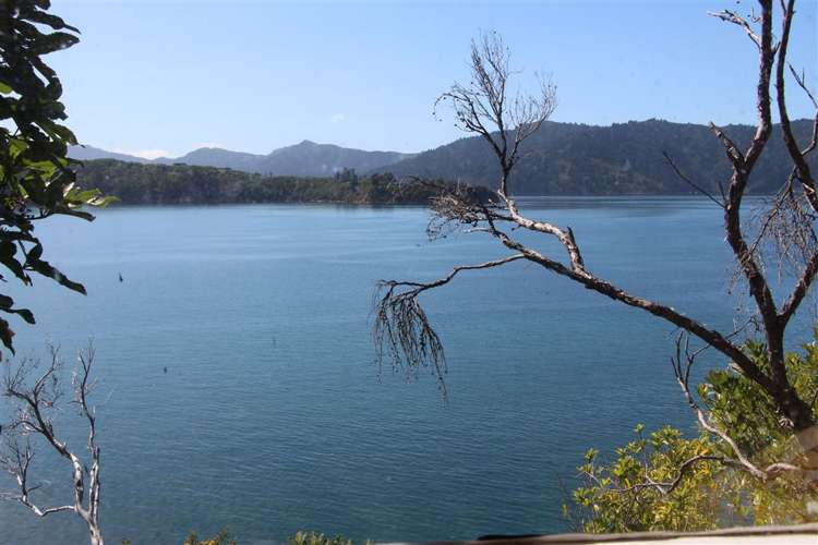 Bay Of Many Coves Marlborough_19