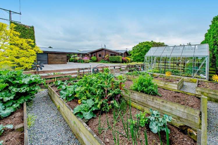 1004 Leeston Dunsandel Road Leeston_19