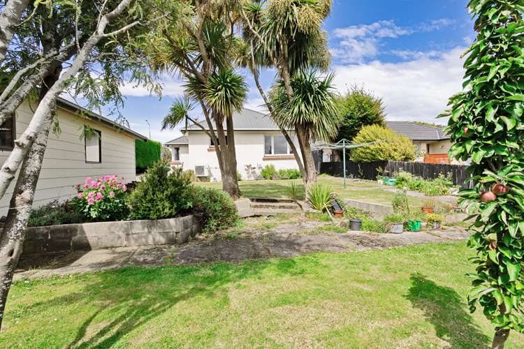 208 Layard Street Waverley_16