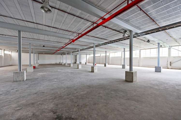 604 Rosebank Road Avondale_9