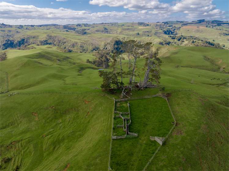 420 Ponganui Road Onewhero_21