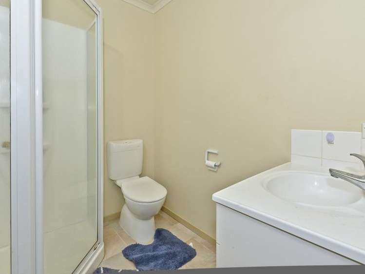 221a Peachgrove Road Claudelands_11