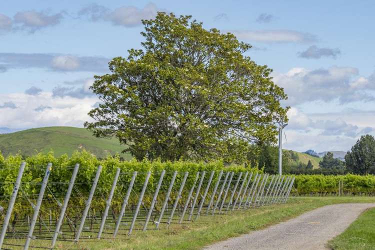 1905 Matapiro Road Crownthorpe_25